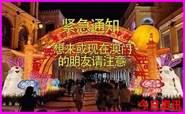 找当地旅游导游去哪里找